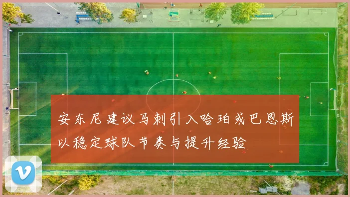安东尼建议马刺引入哈珀或巴恩斯以稳定球队节奏与提升经验